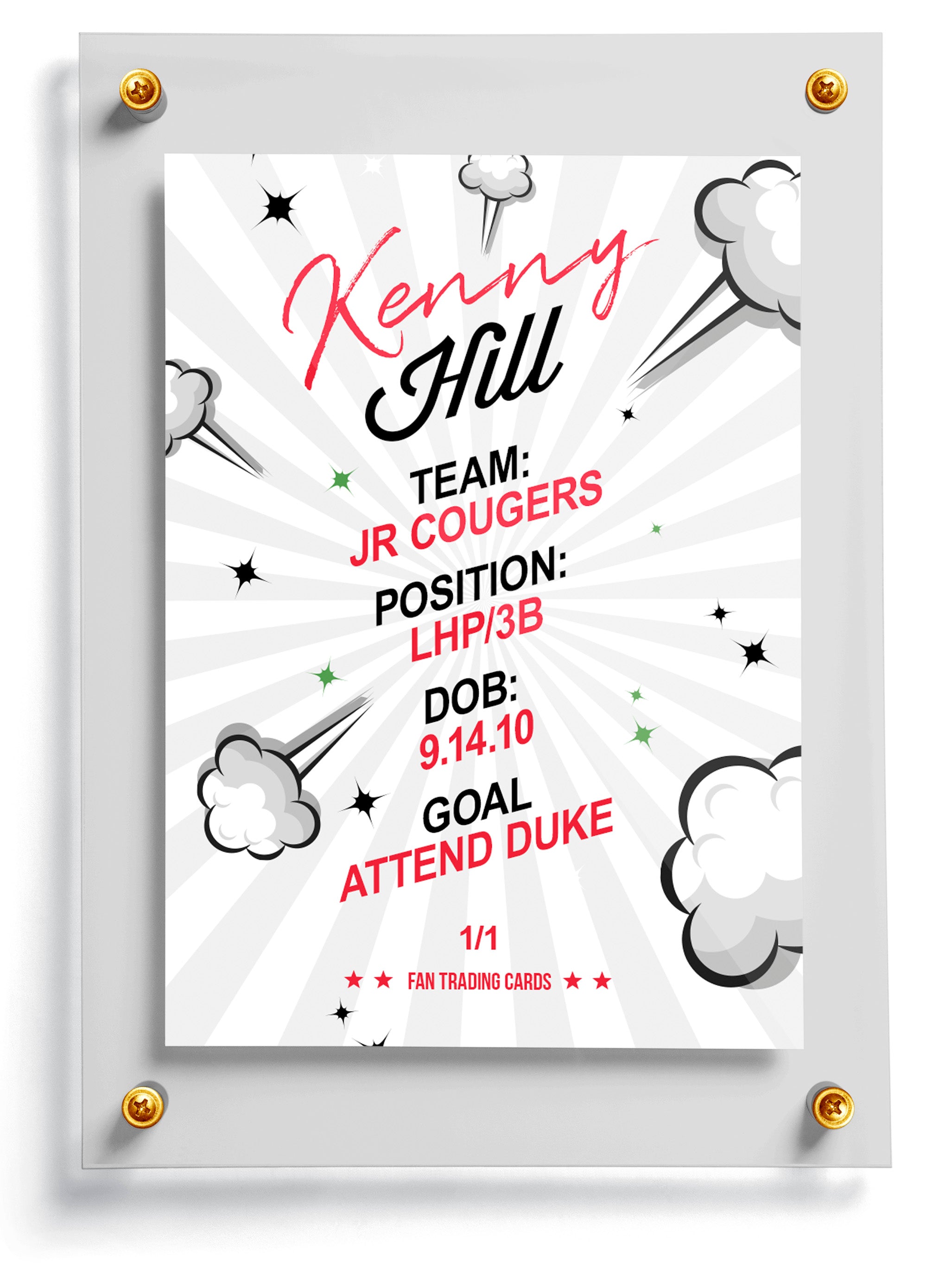 Framed sports trading card with player information on a white background