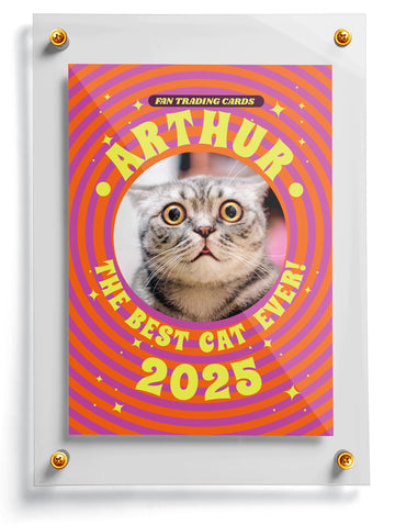 "Scoop" Trading Card