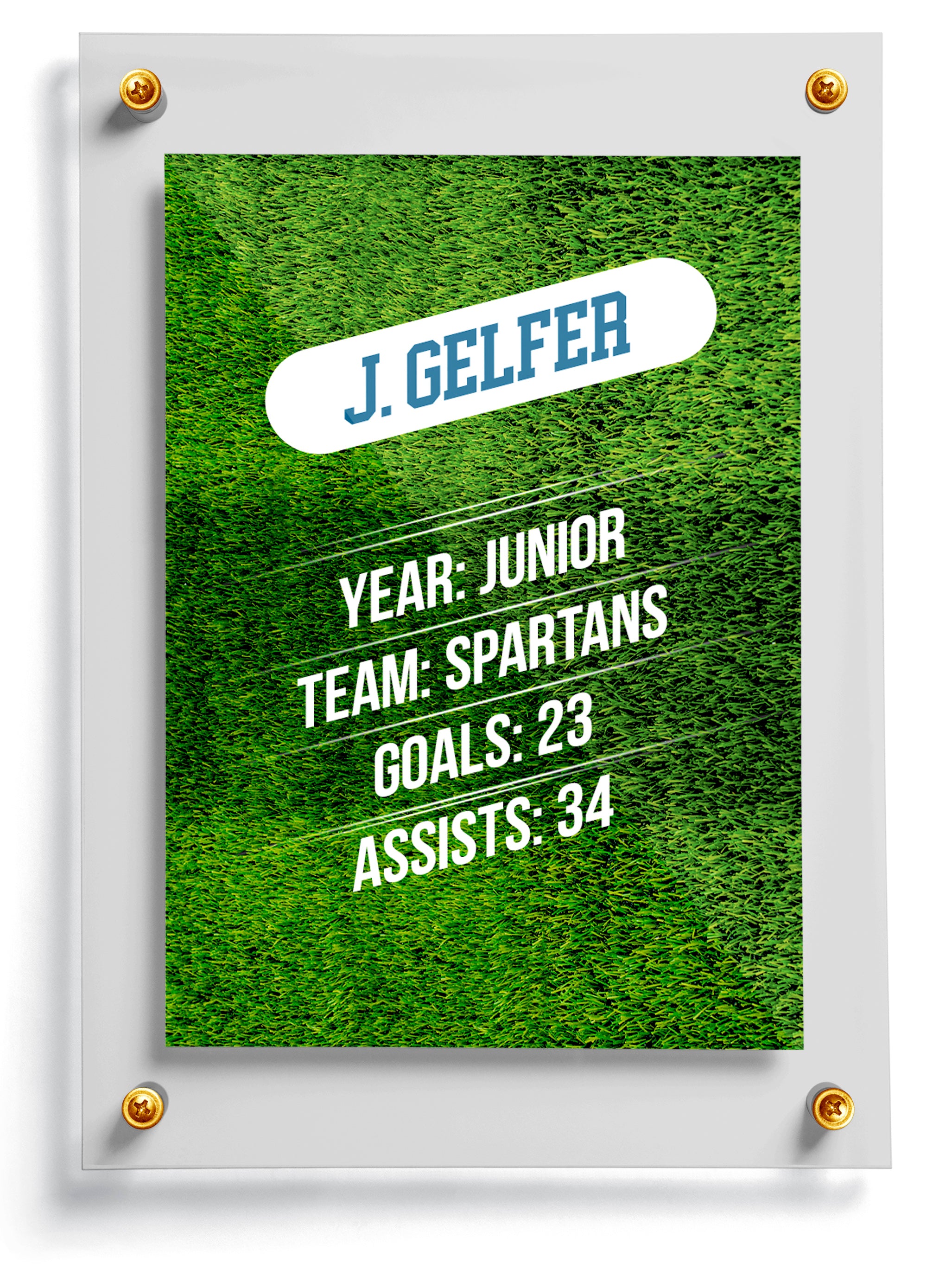 Lacrosse trading card template named Beast Mode, back side. 